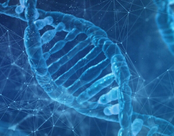 kuvituskuva kromosomeista