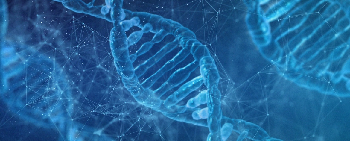 kuvituskuva kromosomeista