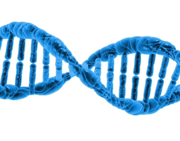 DNA NGT Pixabay