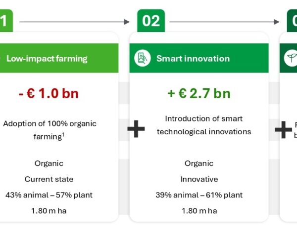 Deloitte: luomu toisi miljardien säästöt yhteiskunnalle