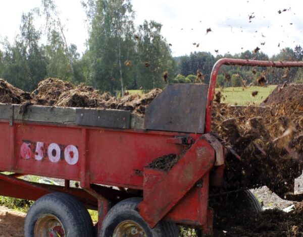 Mantere karjanlannan kompostointi Karjanlannan kompostointia pellolla
