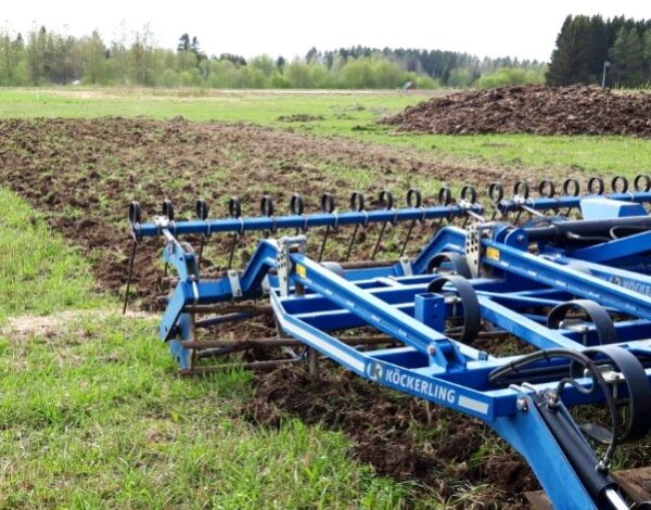 Vihonen kultivaattori Kultivaattori torjumassa monivuotisia rikkakasveja