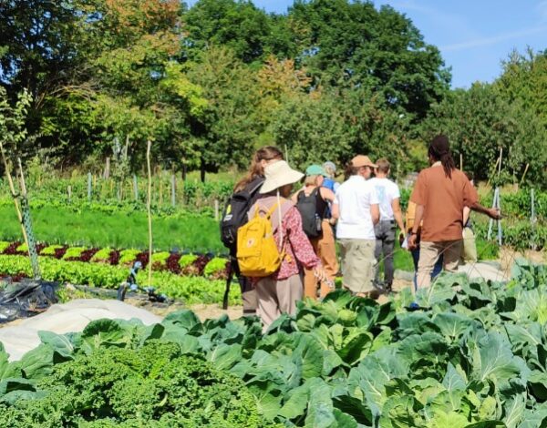 Andelsjordbruk på Biosain gård i Österrike