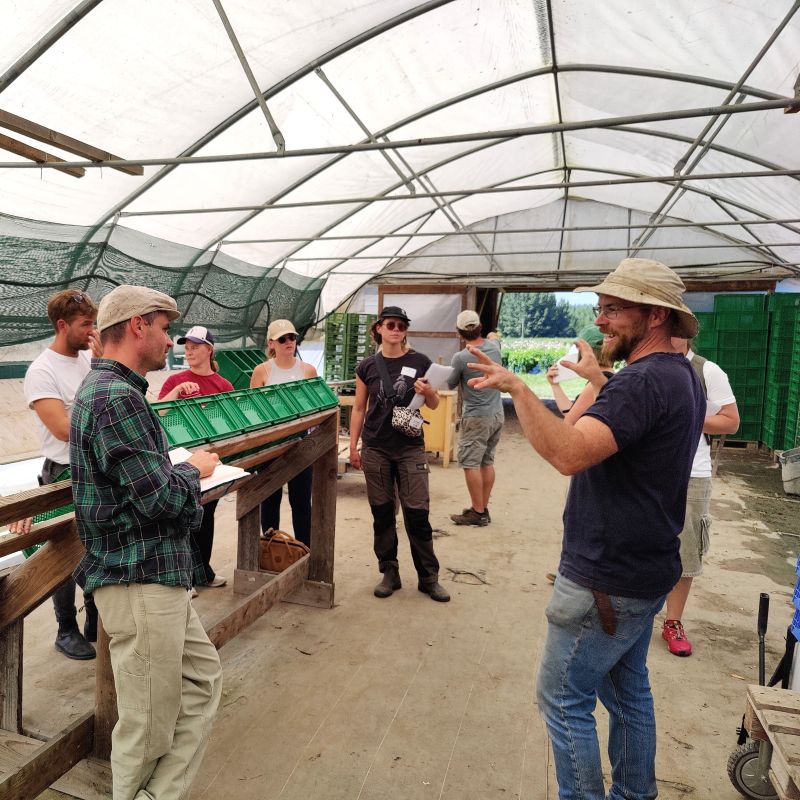 Andelsjordbruk på Gärtnerhof Distelfink i Österrike
