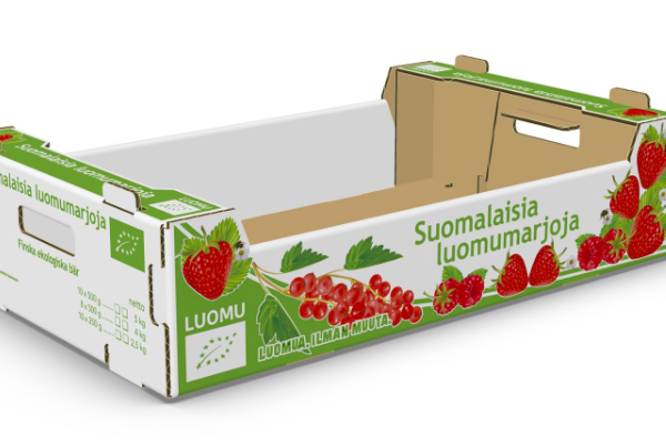 marjalaatikko marjalaatikko