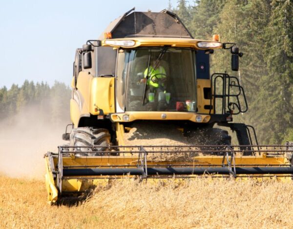 Puimuri kaurapellossa