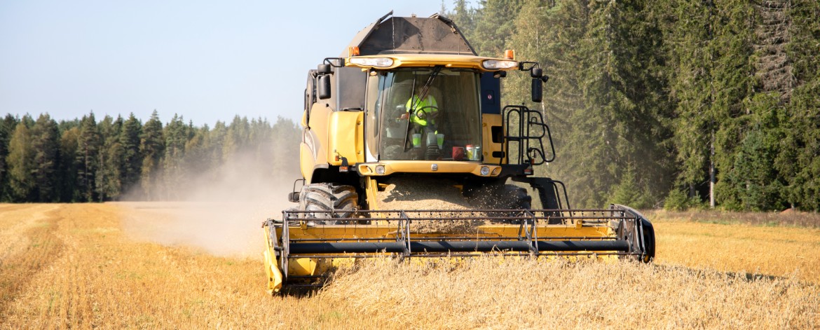 Puimuri kaurapellossa