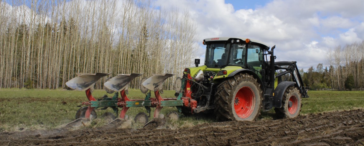 Kevätkyntö pellolla