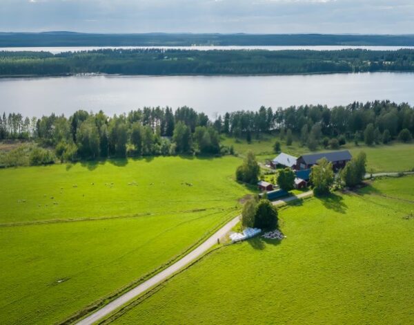 Seppälän luomulammastila ilmakuva Seppälän luomulammastila ilmasta käsin kuvattuna.