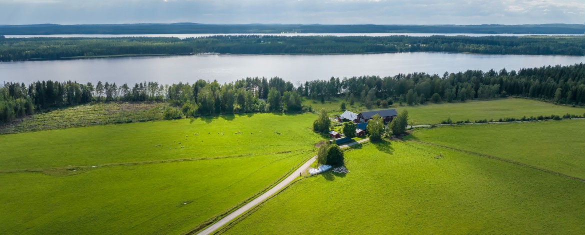 Seppälän luomulammastila ilmasta käsin kuvattuna.