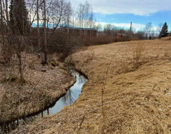 Suojakaista joen varrella