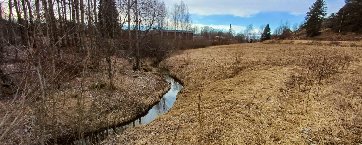 Suojakaista joen varrella